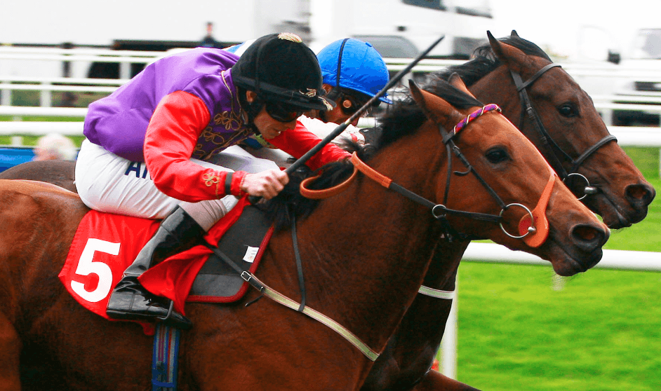 ordreturf || 100 ordreturf || ordre turf || 100 ordre turf