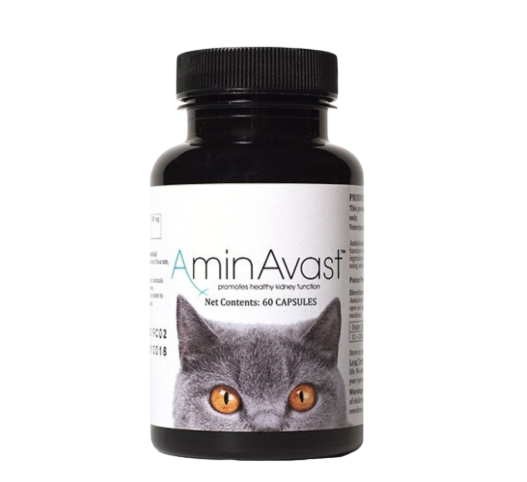 AminAvast Explained: Amino Acid Support for Cats and Dogs With Renal Needs